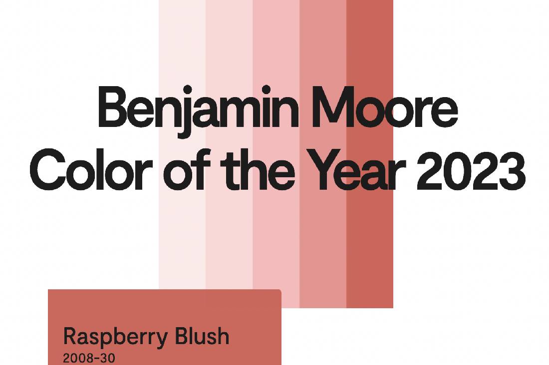 Benjamin Moore Color of the Year 2023, interior paint, custom paint near Evans, Georgia (GA)Picture